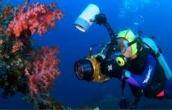 Diving Activity bali hai cruise, bali hai cruise nusa lembongan, bali hai, day cruise, evening cruise